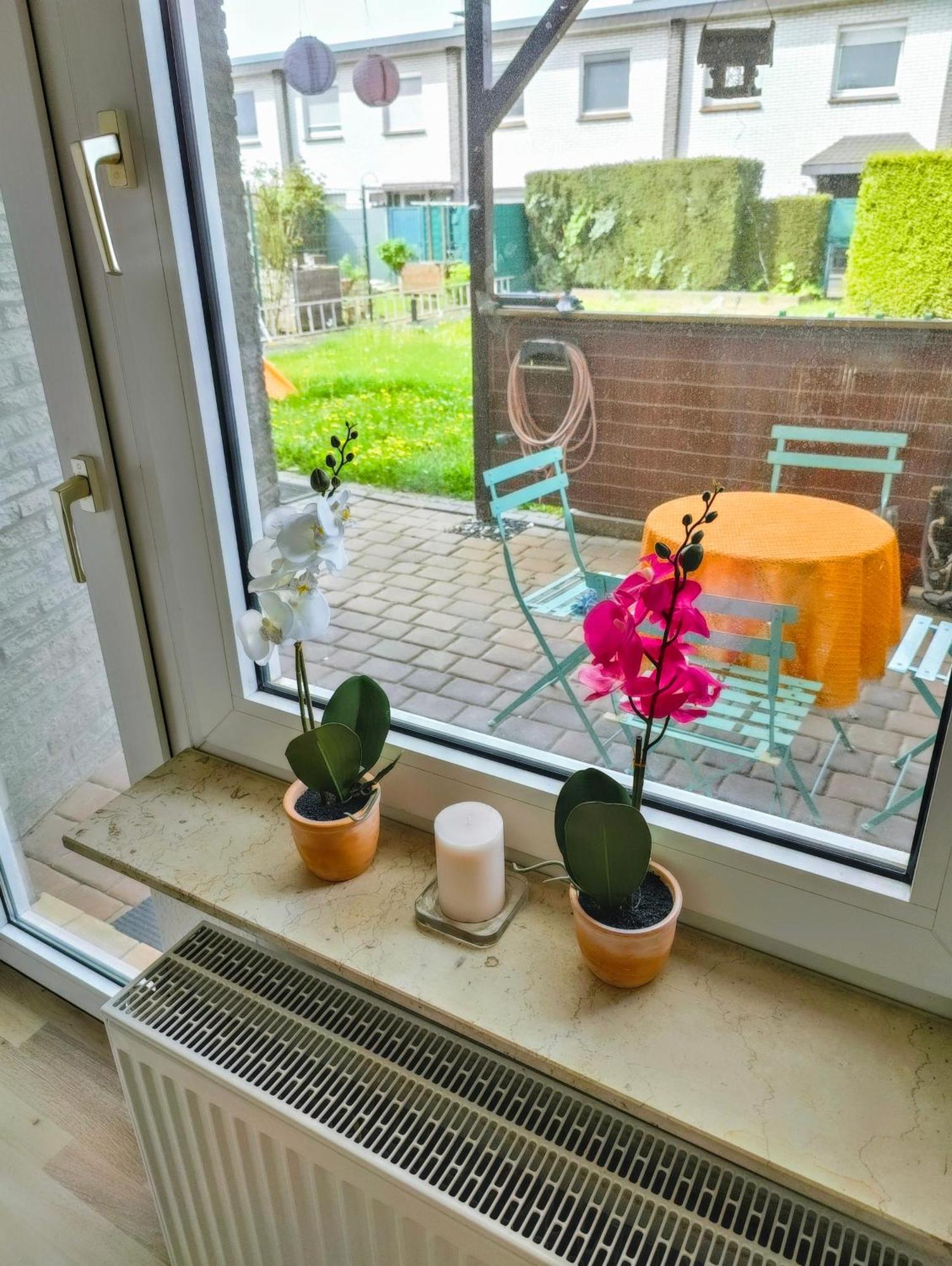 Modern Cozy Apartment, Green Neighborhood, Good Connectivity Дуйсбург Экстерьер фото